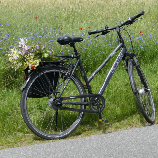 Fahrradausflug