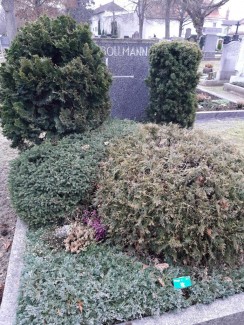 Grabstätte Familie Bollmann