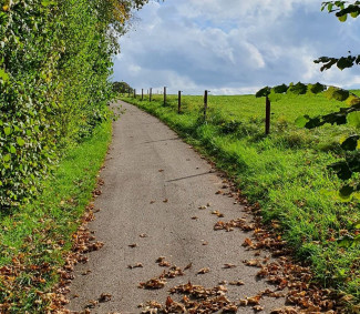 Weg im Herbst