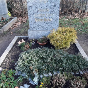 Grabstätte Martin Loos
